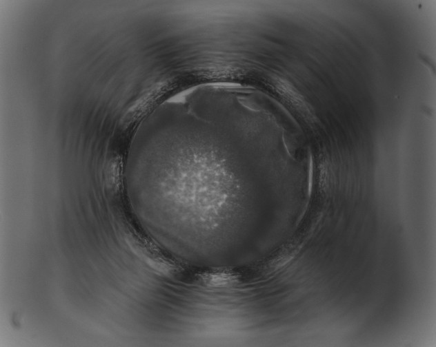 X0000103220165200809111515