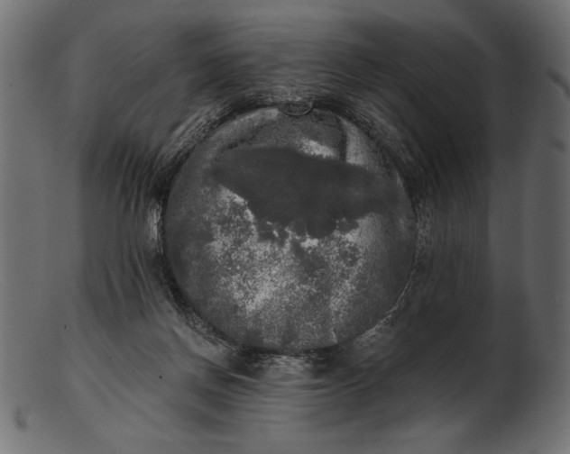 X0000103220166200809111515