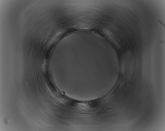 X0000103220167200809111515