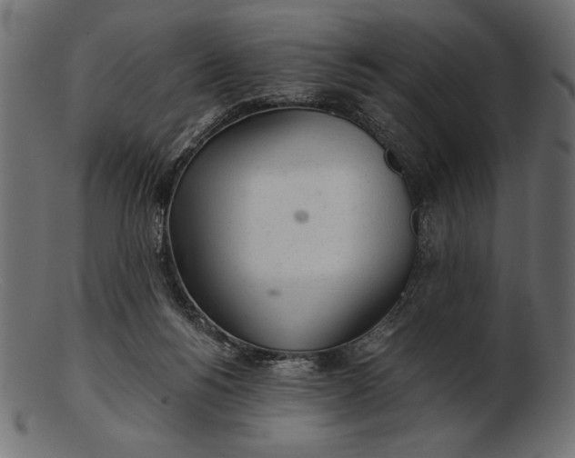 X0000103220168200809111515