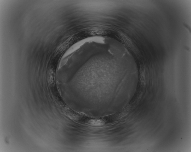 X0000103220169200809111515