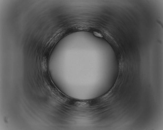 X0000103220170200809111516