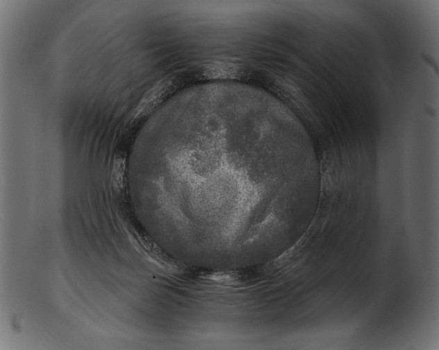 X0000103220171200809111516