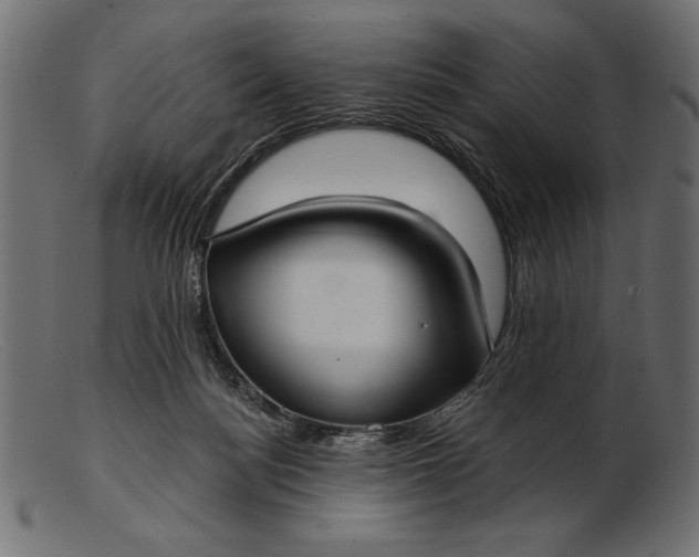 X0000103220172200809111516