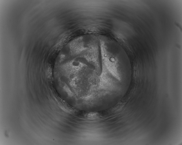 X0000103220173200809111516