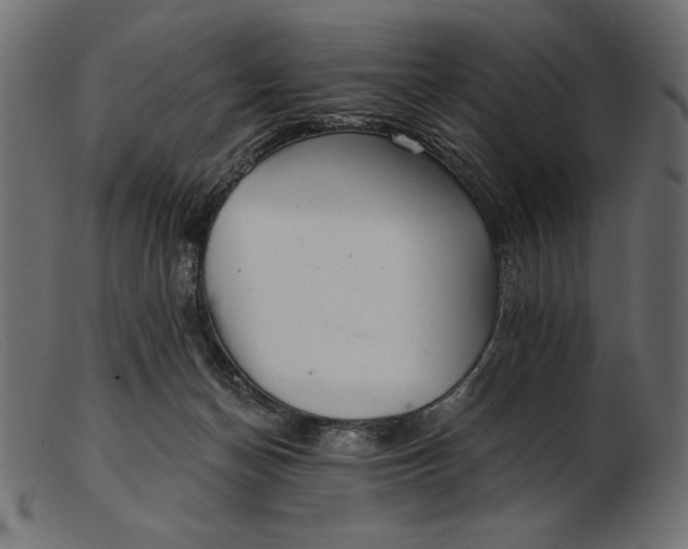 X0000103220174200809111516