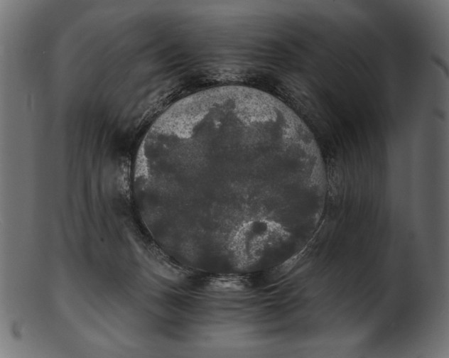 X0000103220175200809111516