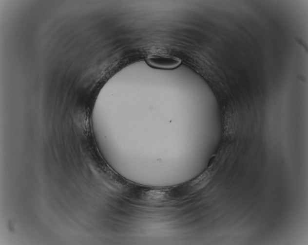 X0000103220176200809111516