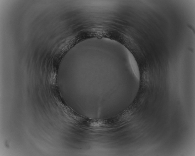 X0000103220177200809111516