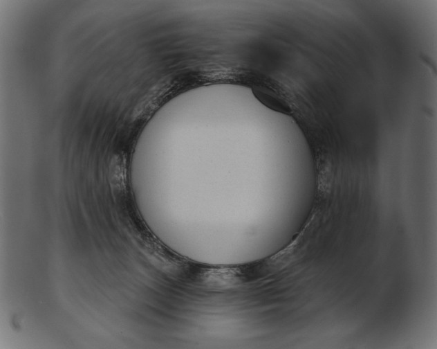 X0000103220179200809111516