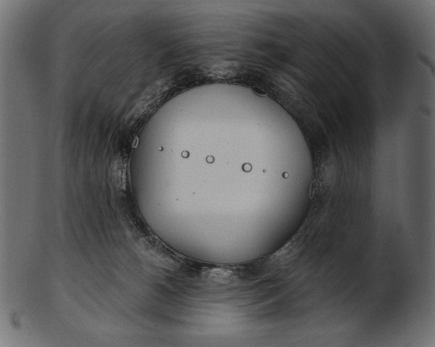 X0000103220180200809111516