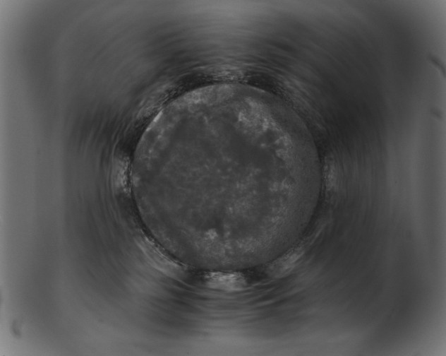 X0000103220185200809111516