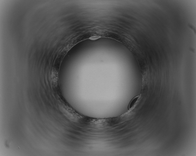 X0000103220186200809111516