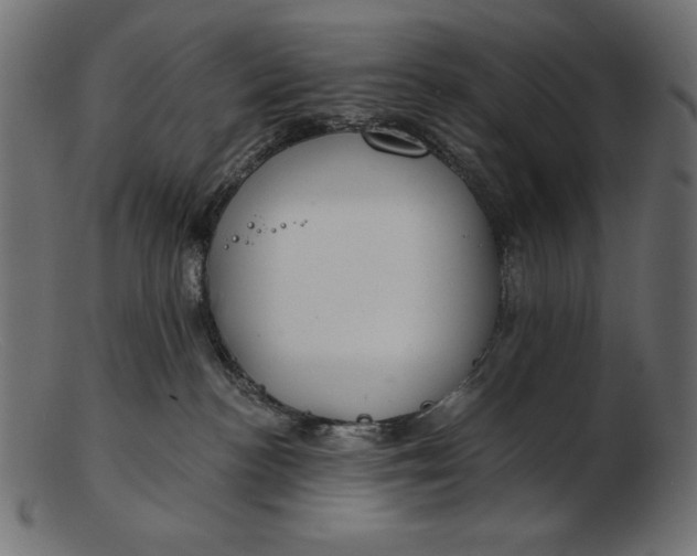 X0000103220188200809111516