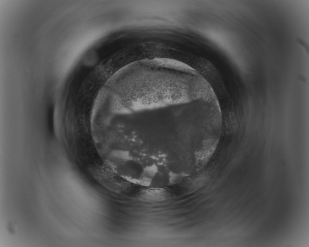 X0000103220189200809111516