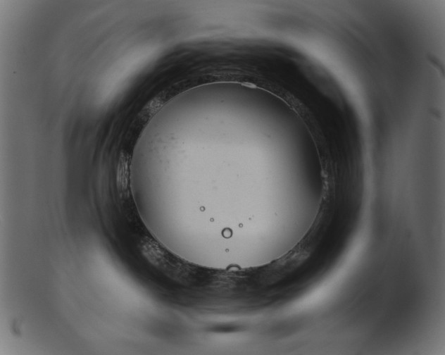 X0000103220190200809111516