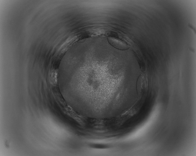 X0000103220191200809111516