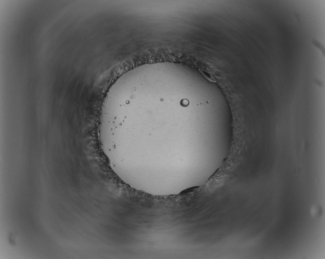 X0000103220192200809111516