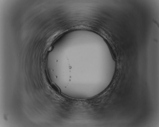 X0000103220193200809111515