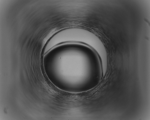 X0000103220195200809111515