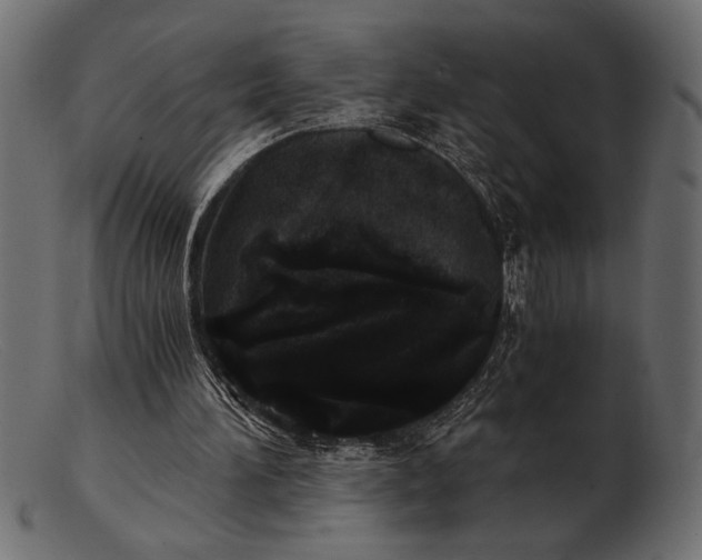 X0000103220196200809111515