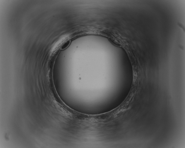 X0000103220197200809111515