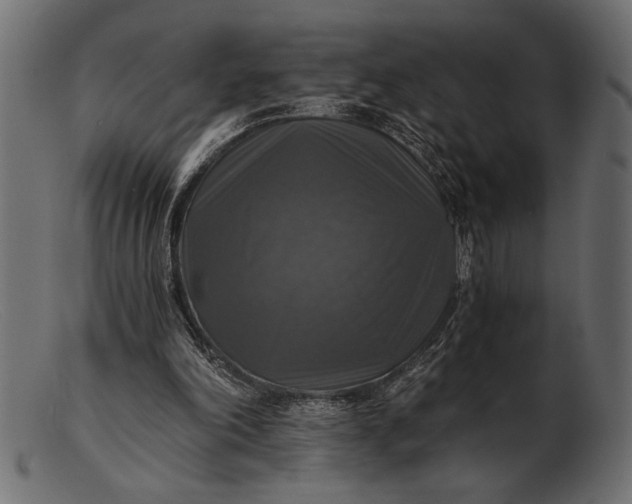 X0000103220198200809111515