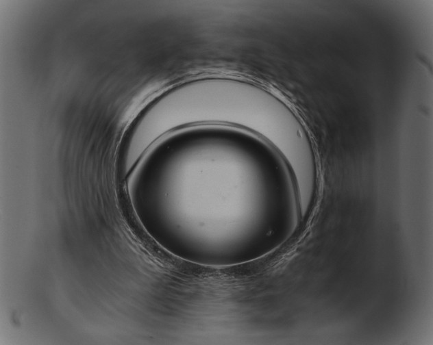 X0000103220199200809111515