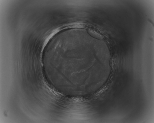 X0000103220200200809111515