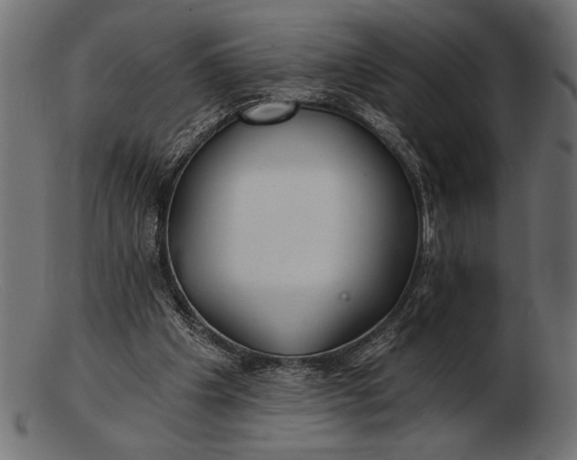 X0000103220201200809111515