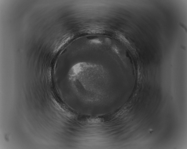 X0000103220202200809111515