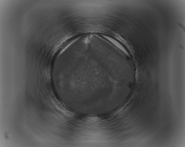 X0000103220203200809111515