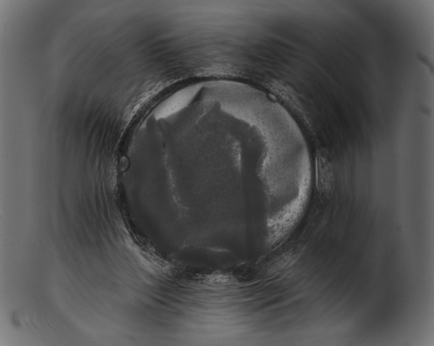 X0000103220204200809111515