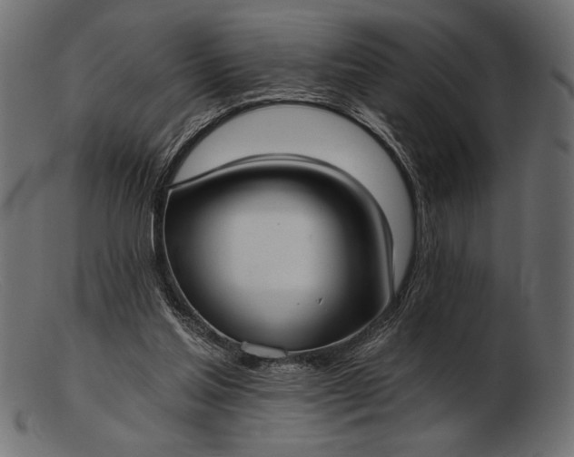 X0000103220205200809111515