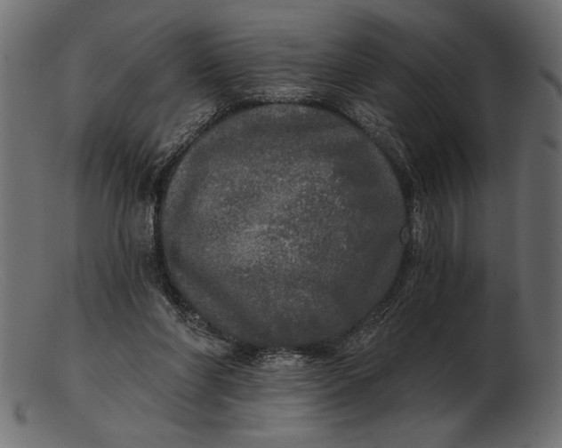 X0000103220206200809111515