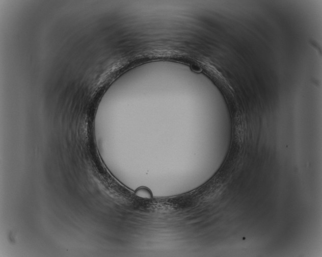 X0000103220207200809111515