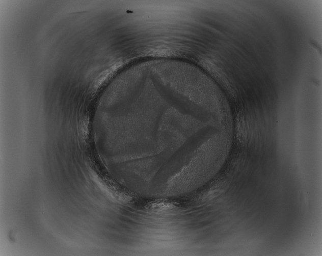 X0000103220208200809111515