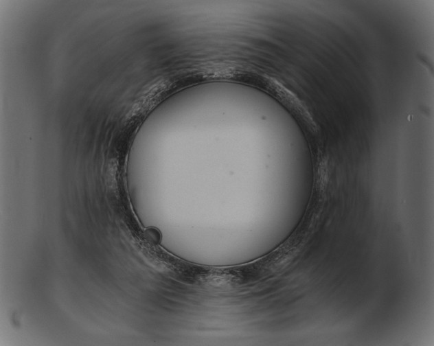 X0000103220209200809111515