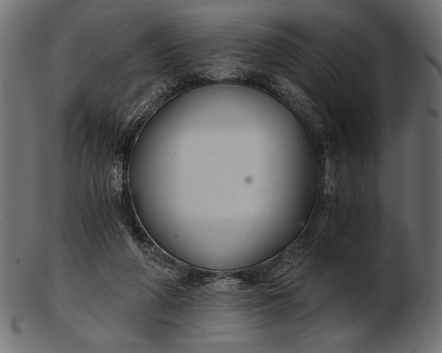 X0000103220210200809111515