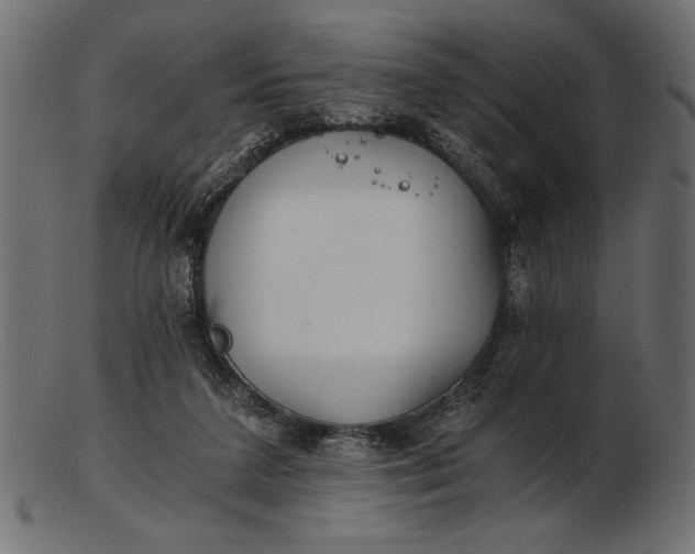 X0000103220211200809111515