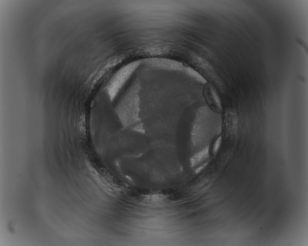 X0000103220212200809111515