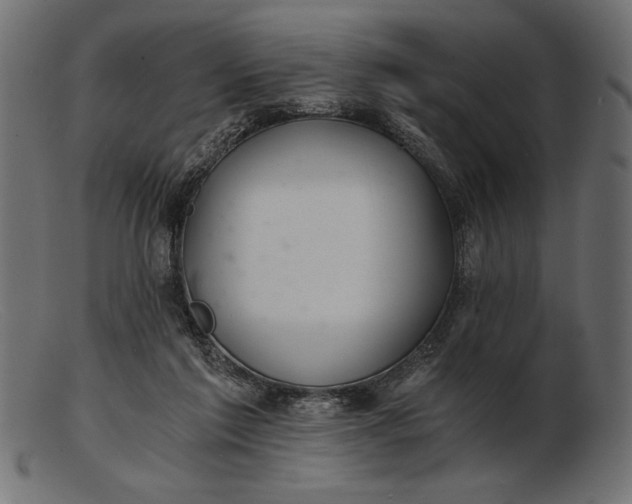 X0000103220213200809111515