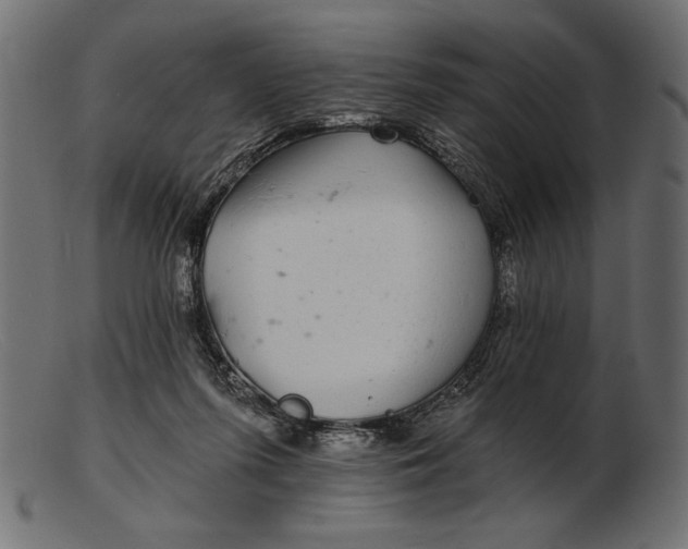 X0000103220215200809111515