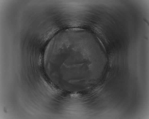 X0000103220216200809111515