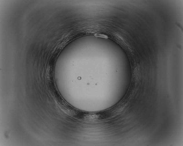 X0000103220217200809111515