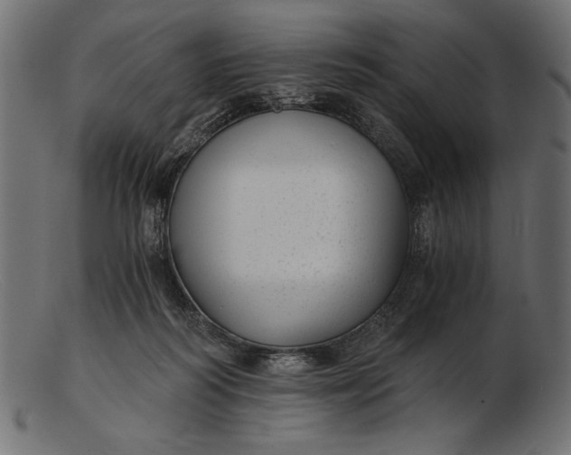 X0000103220218200809111515