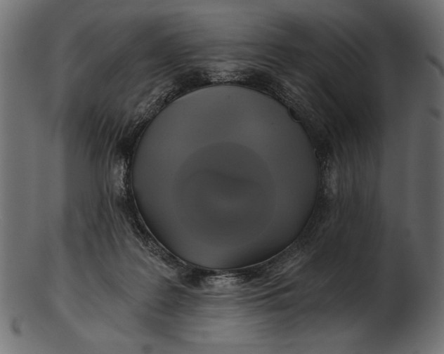 X0000103220219200809111515