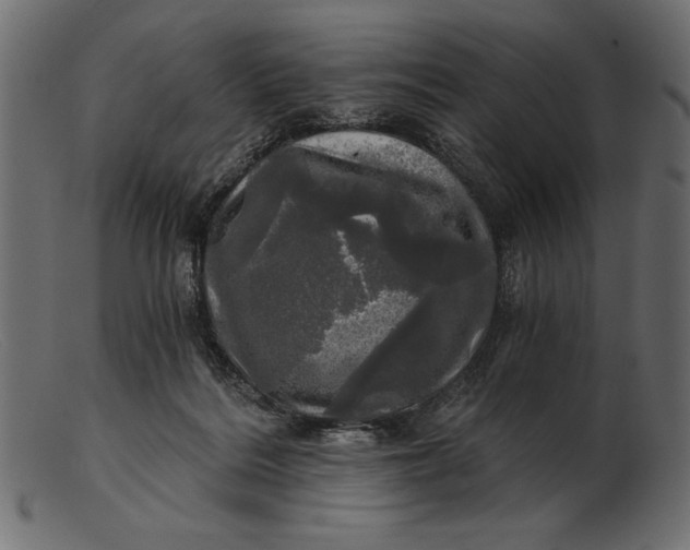 X0000103220220200809111515