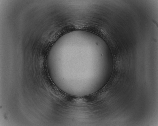 X0000103220221200809111515