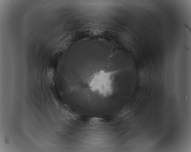 X0000103220222200809111515